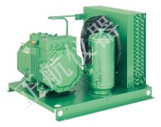 高低溫試驗(yàn)機(jī)用活塞式壓縮機(jī)氣閥組與機(jī)體和